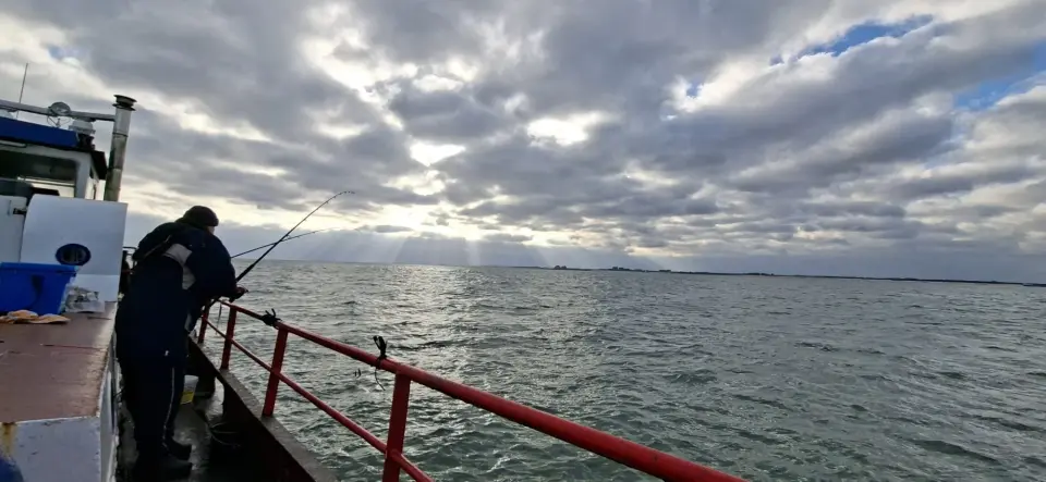 HSV Het Zijpe nieuwsbericht februari 2026  (12)